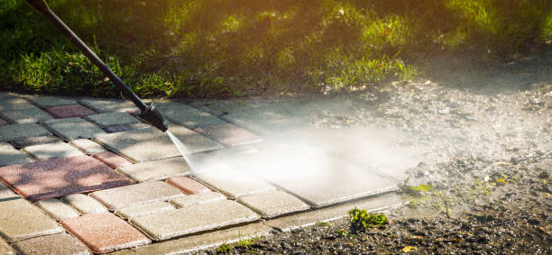 Best Solar Panel Cleaning  in Morris Plains, NJ